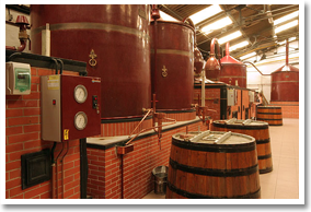 Maxime Trijol Cognac Distillery