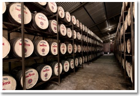Santa Teresa Rum Distillery