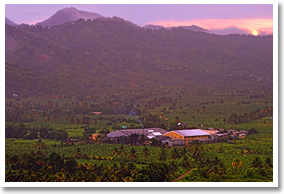 St Lucia Distillery