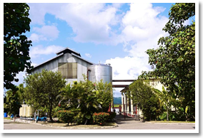 Worthy Park Rum Distillery