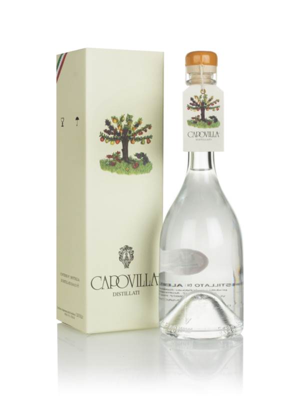 Capovilla Albicocche product image