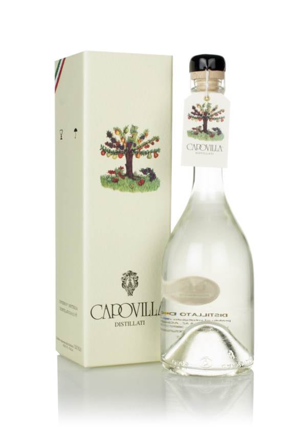 Capovilla Distillato di Ribes Nero product image