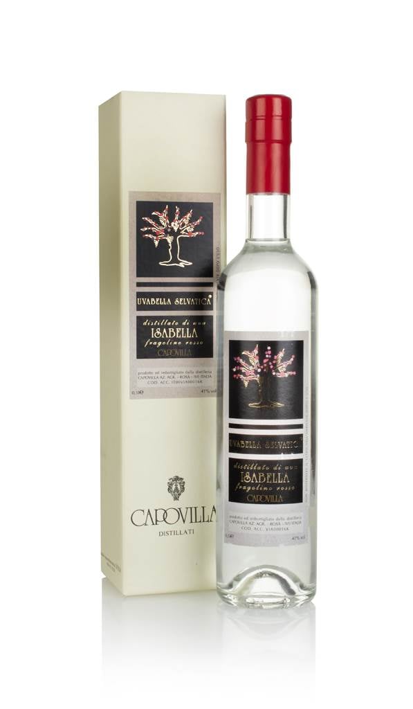 Capovilla Distillato di Uva Isabella product image