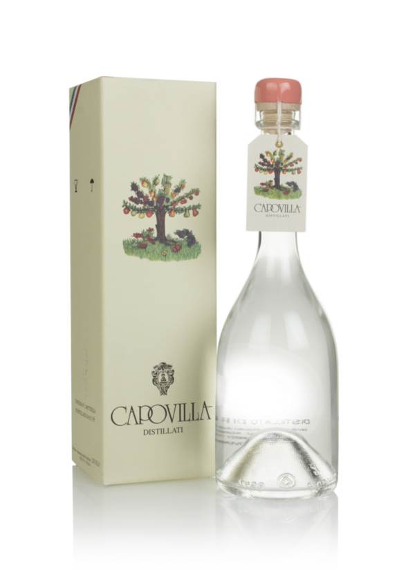 Capovilla Pesche Saturno product image