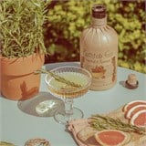 Bathtub Gin - Grapefruit & Rosemary - 4