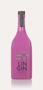 LinGin Raspberry
