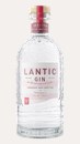 Lantic Winter Foraged Gin