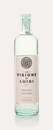 Luigi Francoli la Visione di Luigi Grappa