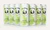 Two Brooks Lime Cooler (12 x 250ml)