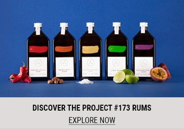 Project 173