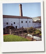 Cooley Distillery