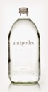 Antipodes Still