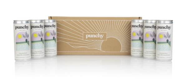 Punchy First Dip Soft Punch (6 x 250ml) product image