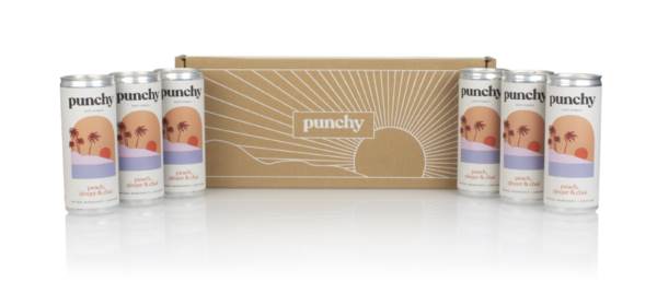 Punchy Holiday Romance Soft Punch (6 x 250ml) product image
