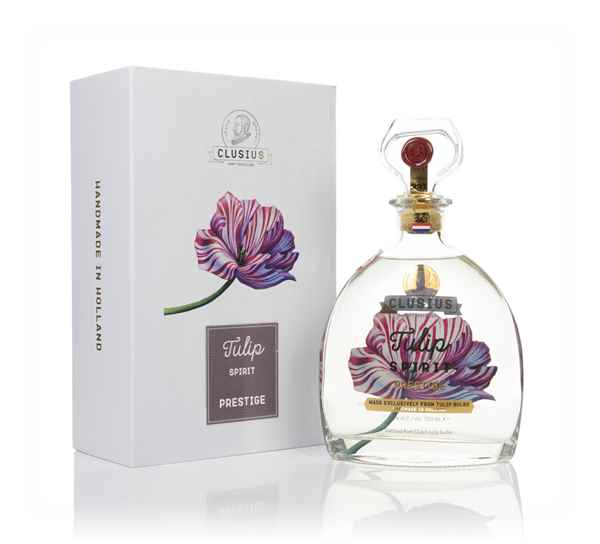 Clusius Tulip Spirit Prestige