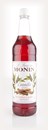 Monin Cinnamon 1l