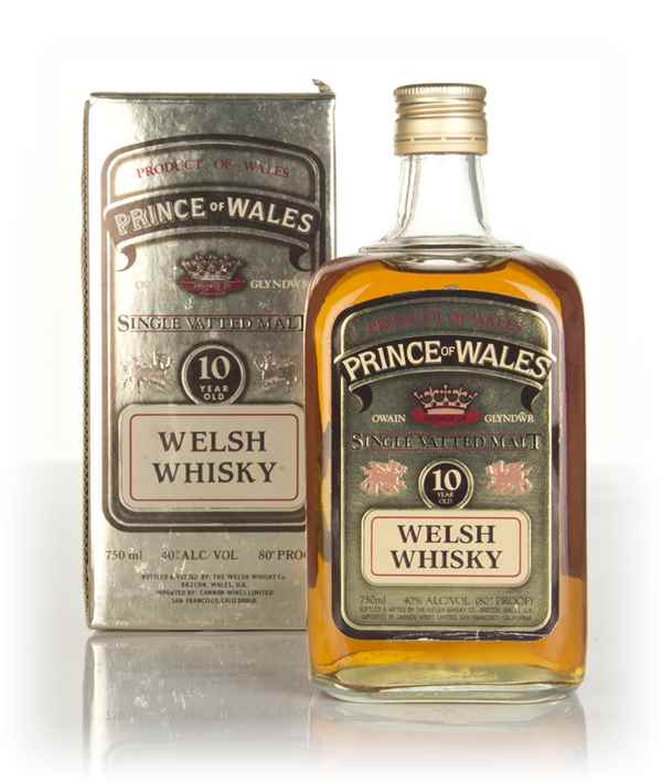 Prince of Wales 10 Year Old - 1990s