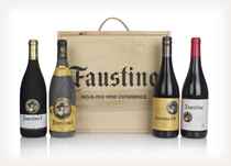 Faustino Wine Experience